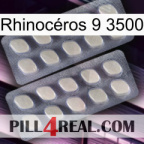Rhinocéros 9 3500 07